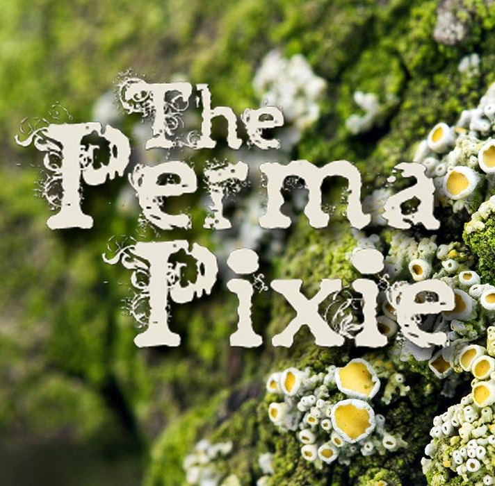 GeoEco Farm & The Perma Pixie