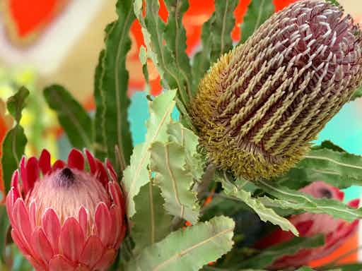 Beautiful Botanicals Workshop Cairns