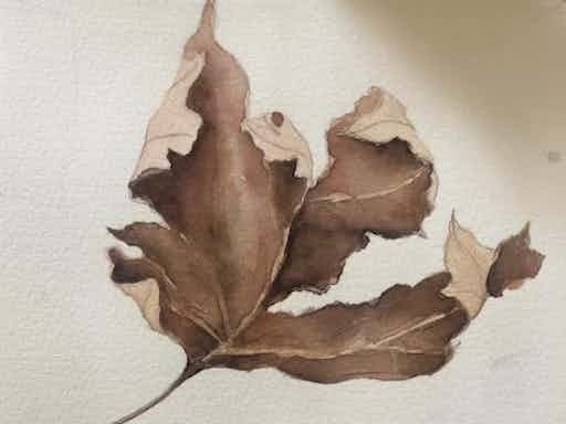 WATERCOLOUR STUDIO