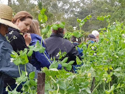 Biodynamic gardening course - 8 afternoons