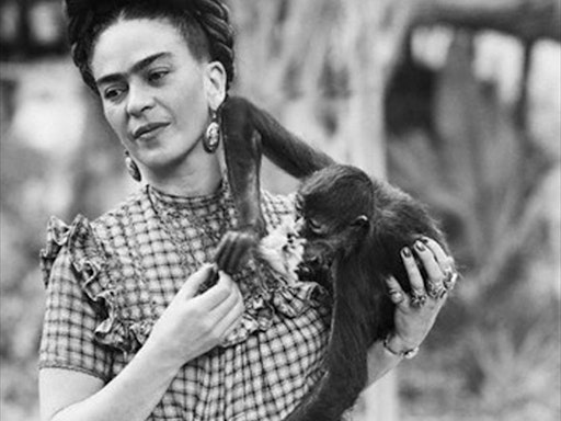 Frida's Animals
