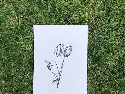 Still Life / Life Drawing