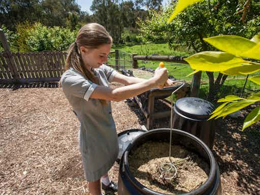 Home Composting for Beginners ONLINE