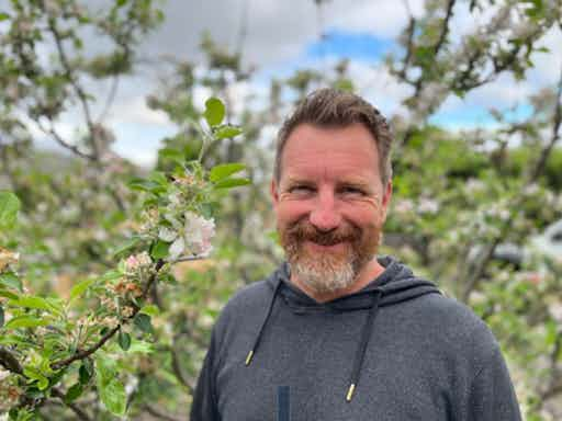 Summer Fruit Tree Pruning 