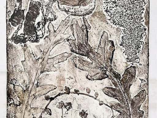 Foraged Image Making