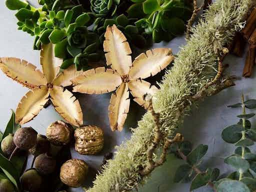 Festive Wreath Workshop – Create Your Own Holiday Wreath