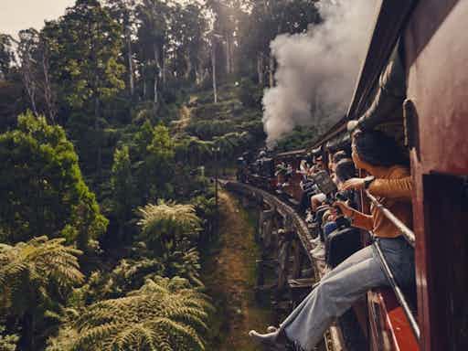 Puffing Billy & Penguins Day Tour
