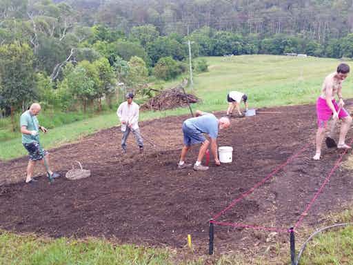 Vegetable Garden Soil: Key Steps to Healthy Soil