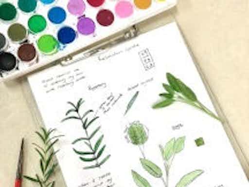 Garden Journaling Series | Observe, Sketch & Connect