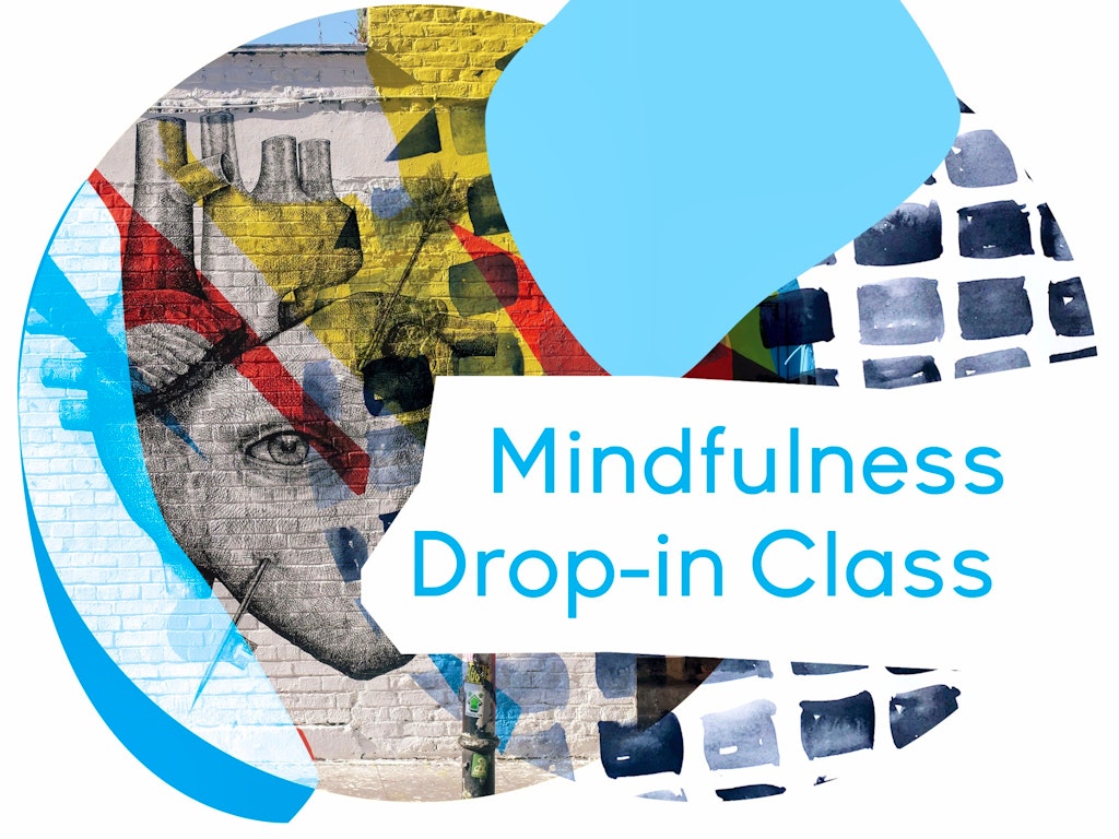 themindroom