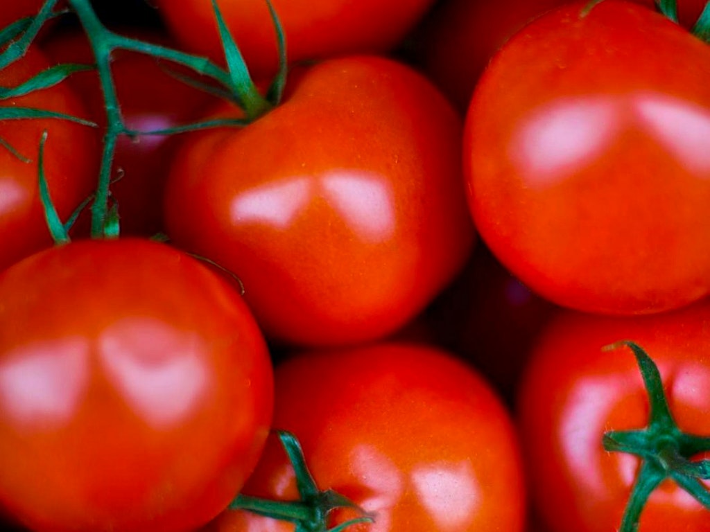 Italian_Vine_Tomatoes_(3026014294)