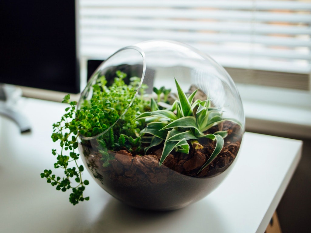 nielsen-ramon-277806-unsplash