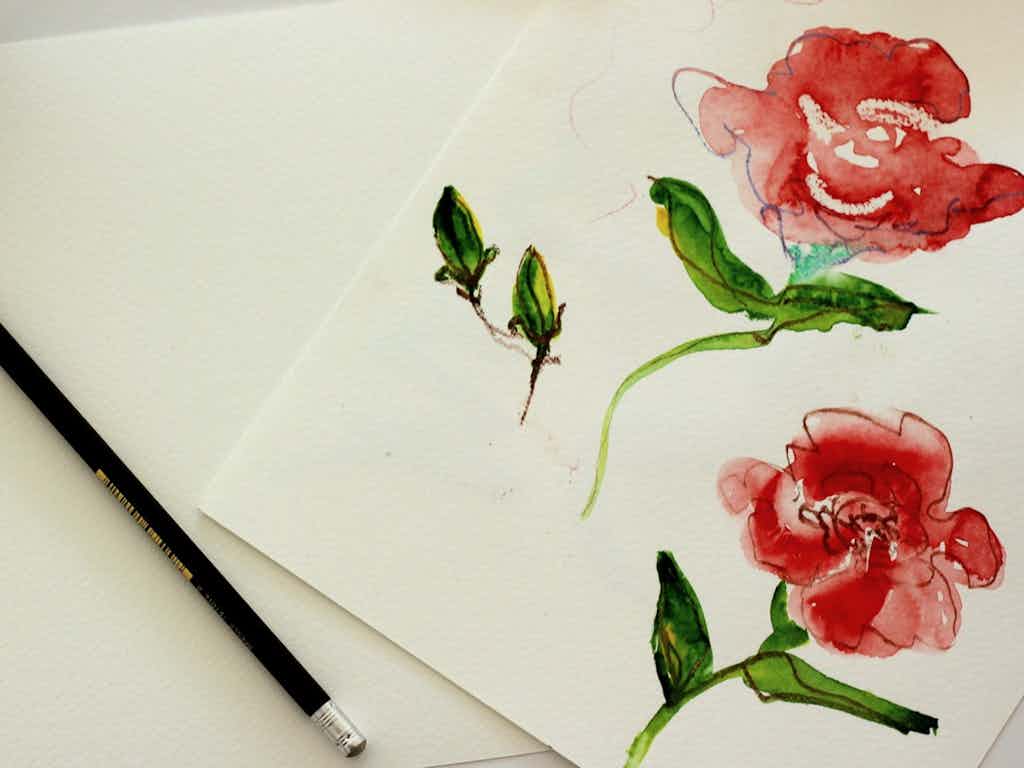 A friendly art class to teach you watercolour basics
