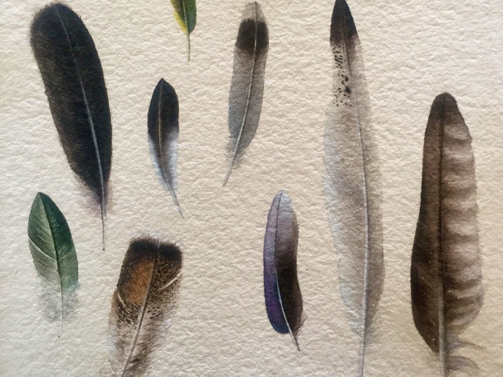 watercolour-classes-melbourne