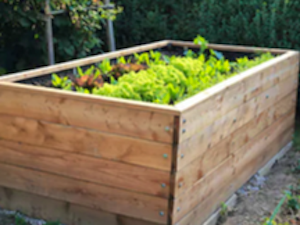 wicking bed