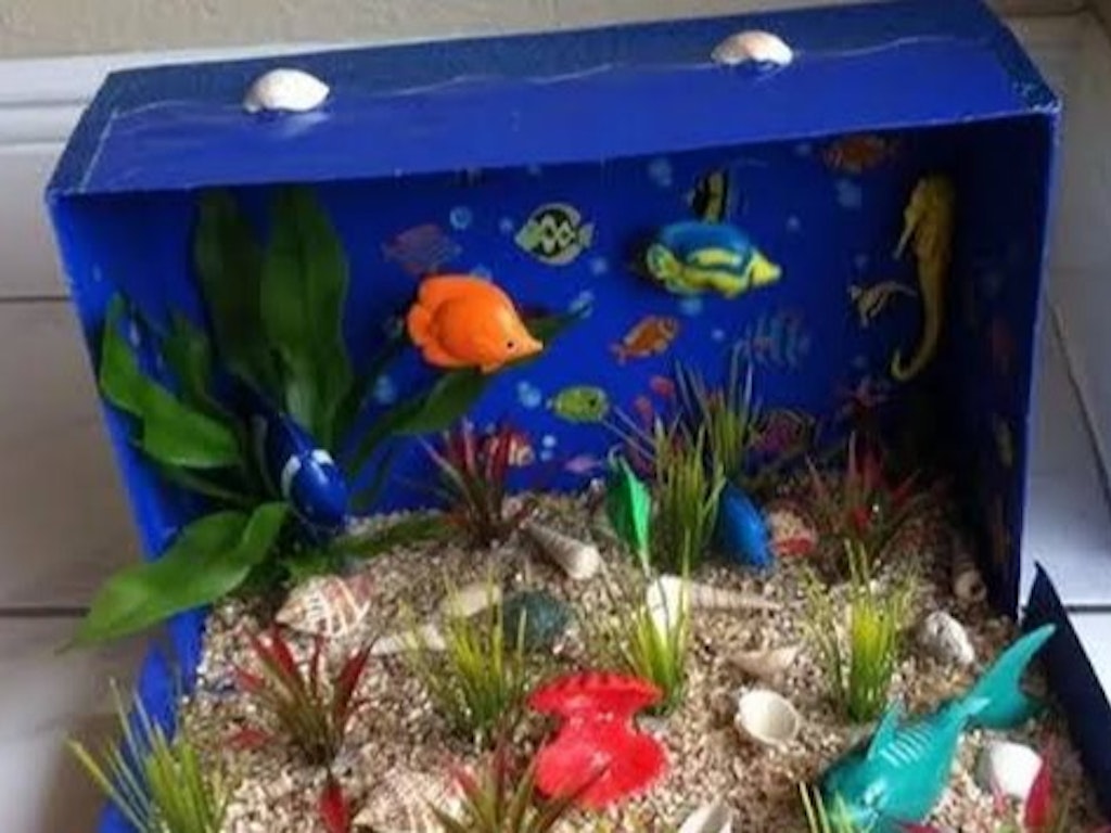 Beach + Sea Creatures Diorama (Holiday Program)
