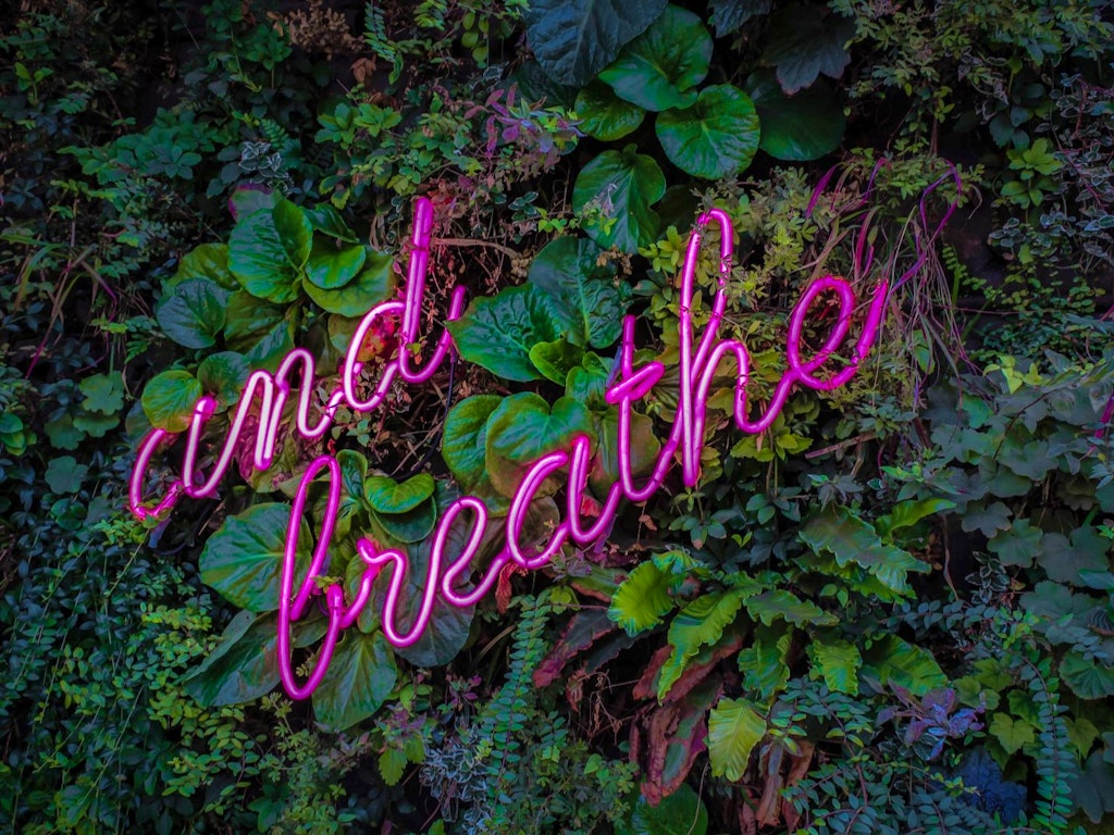victor-garcia-BiGS_w9t7FU-unsplash