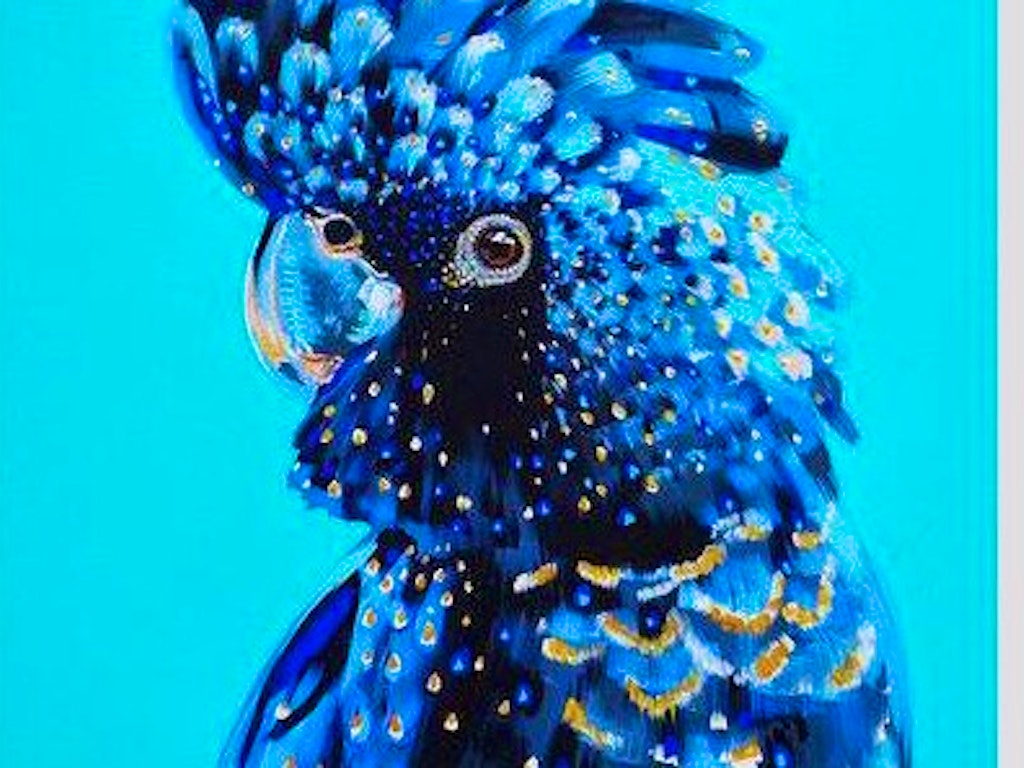 Blue Cocky