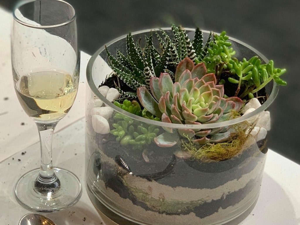 team building, workshops, courses, terrarium, kokedama,