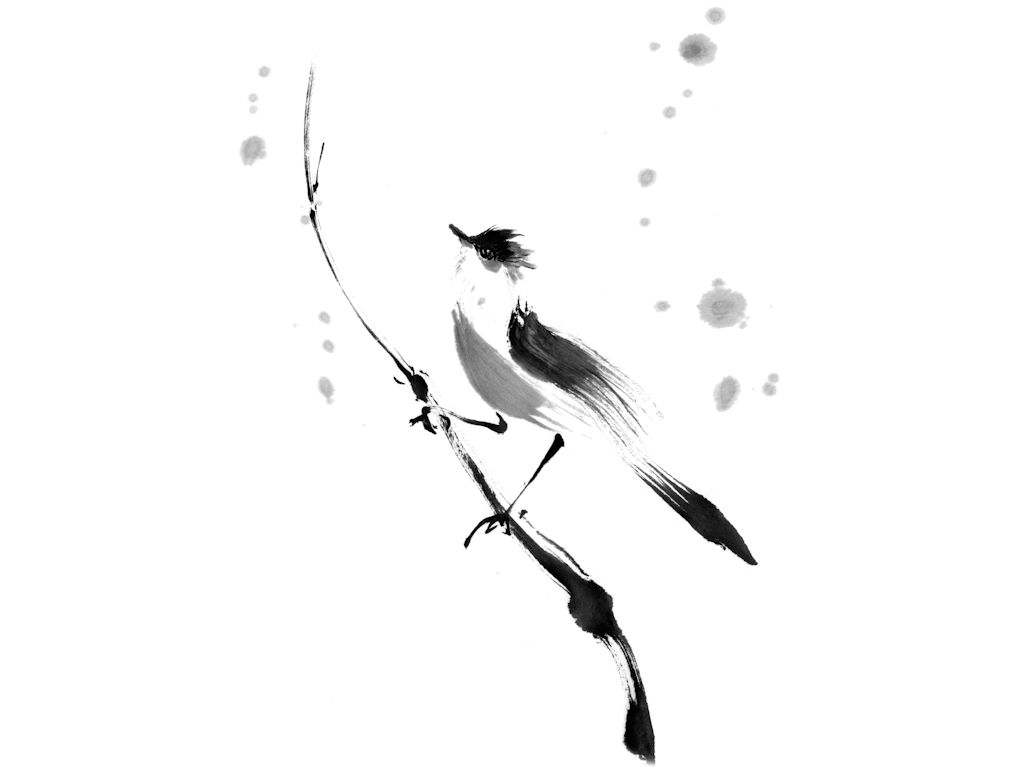 Sumi_intro_image_01