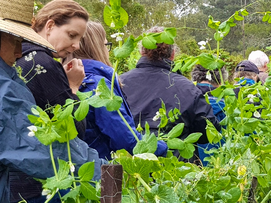 Workshops - organic and biodynamic