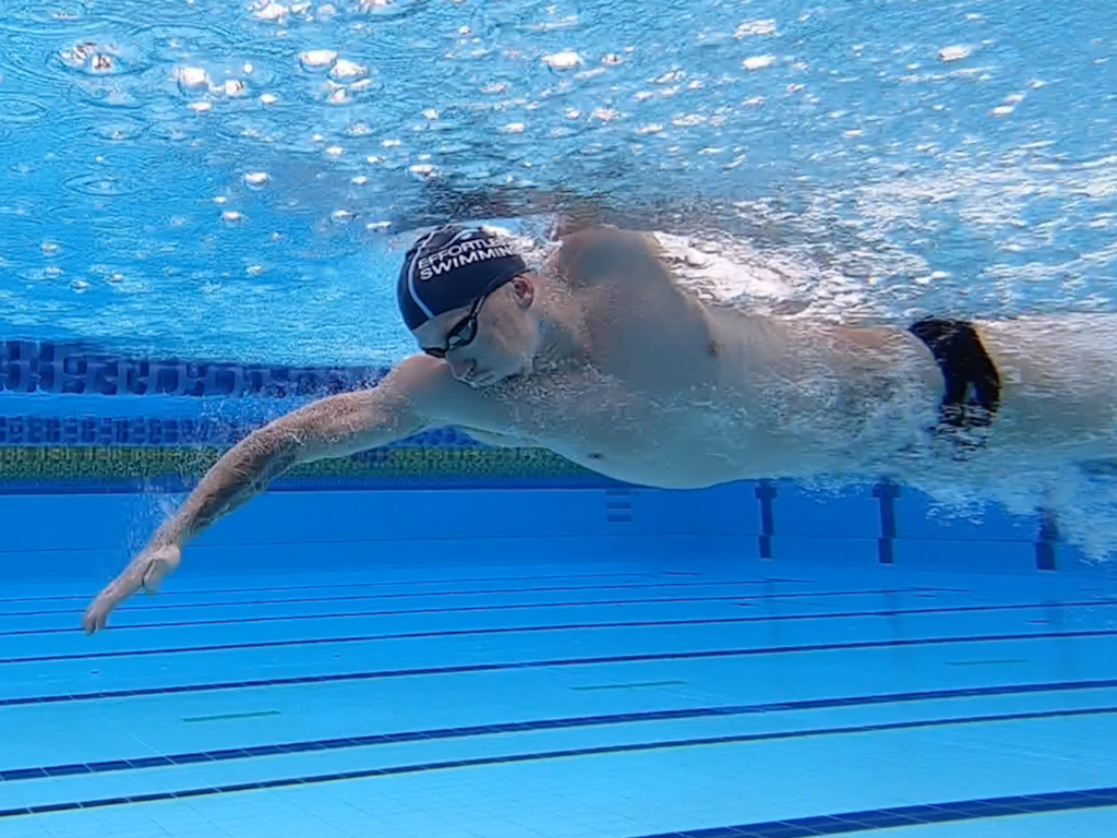 Hobart Freestyle Swim Clinic