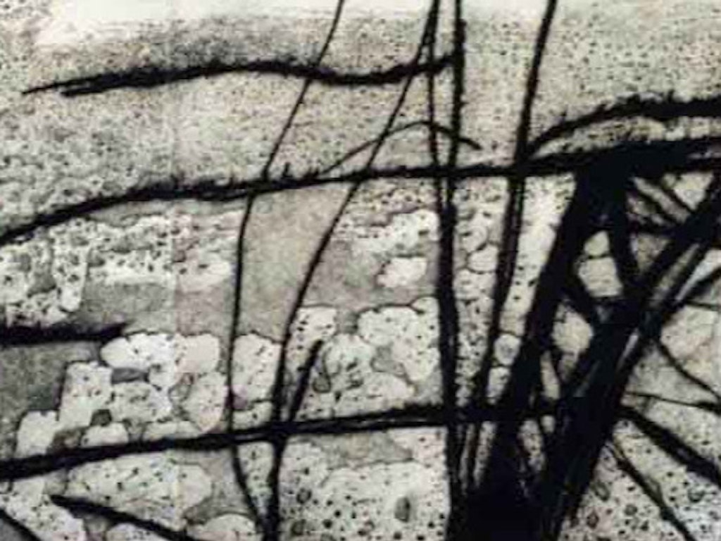 Etching, Monoprint Classes