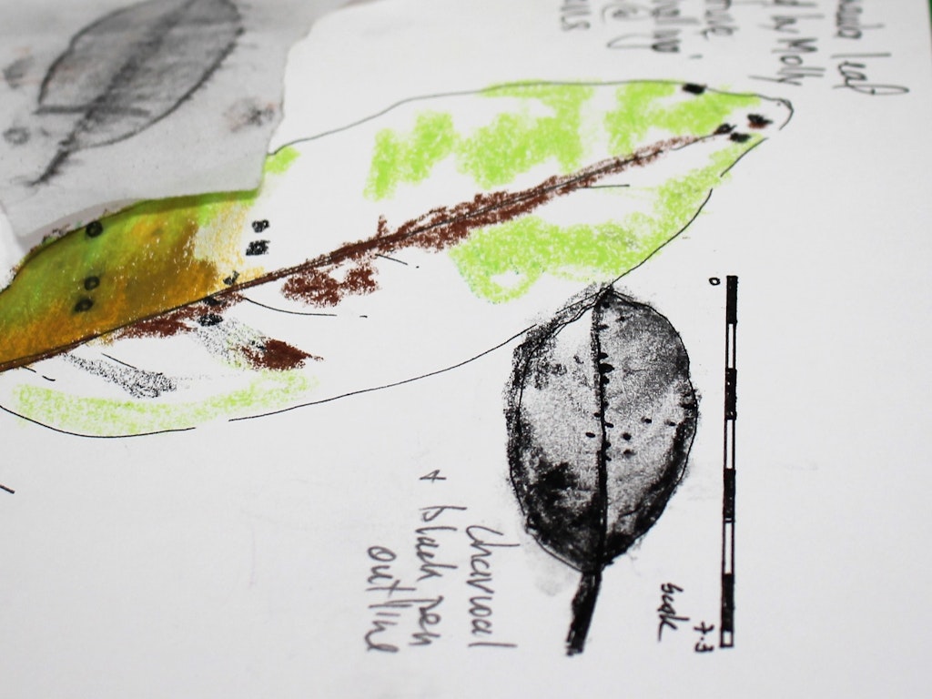 NATURE JOURNALING