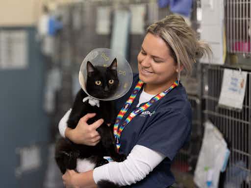 Animal Attendant for a Day | WeTeachMe Animal Attendant for a Day | WeTeachMe
