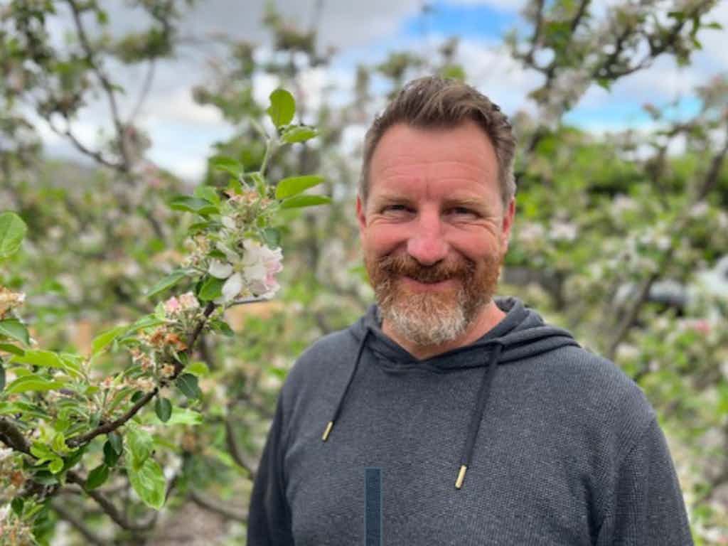 Summer Fruit Tree Pruning