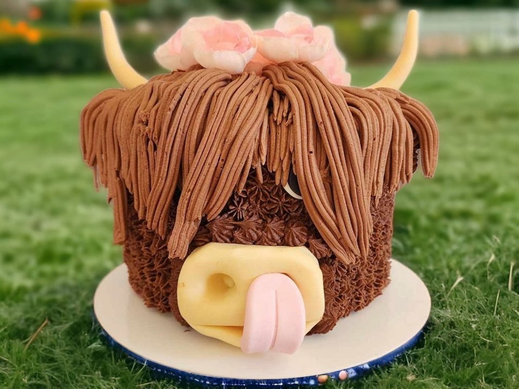 Cake decorating workshop- Highland Cow