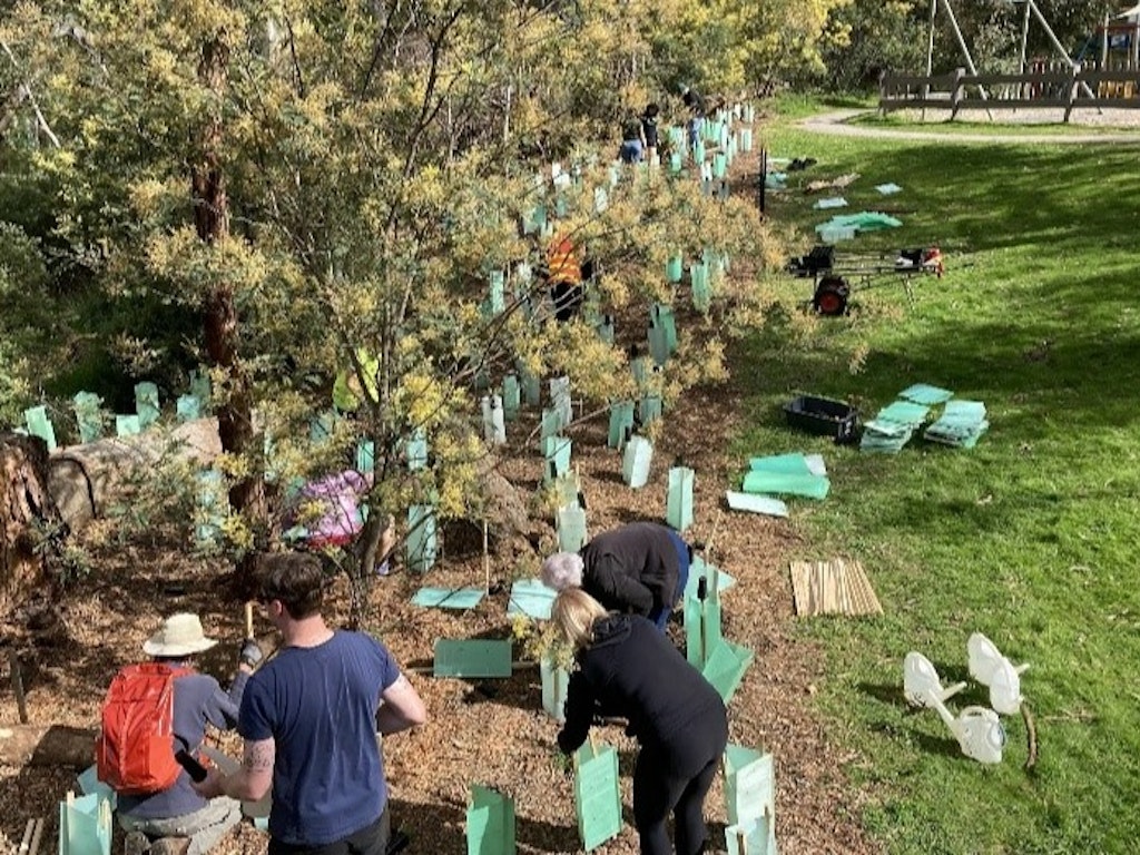 Community Planting Day