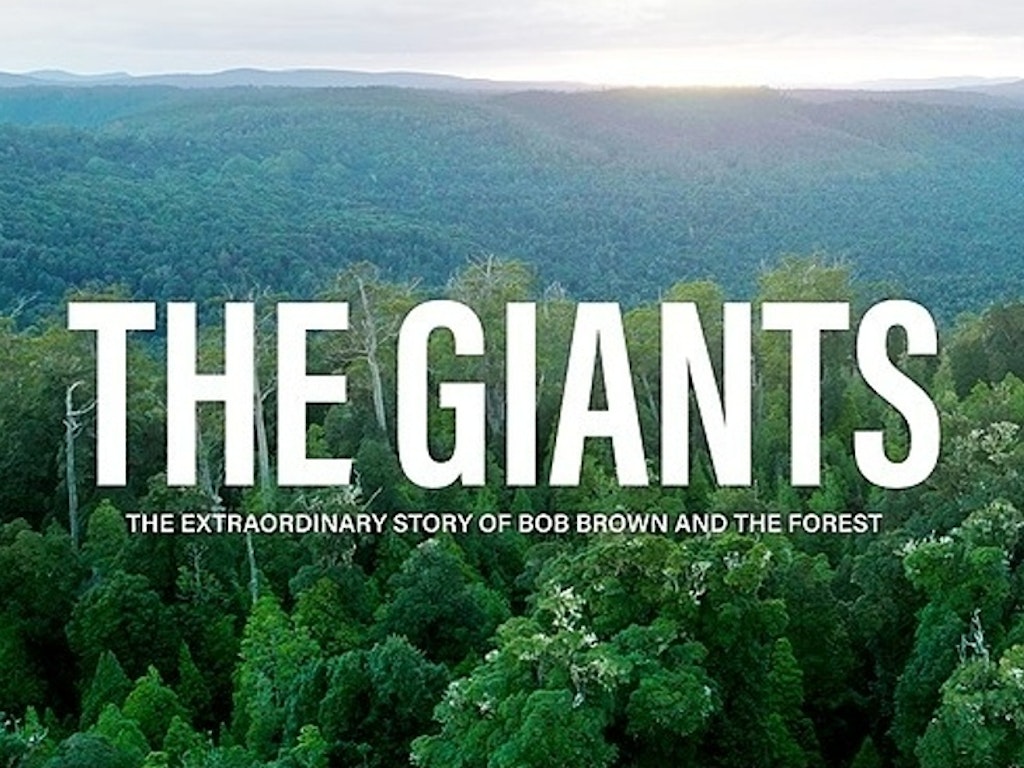 Explore climate action through community film nights