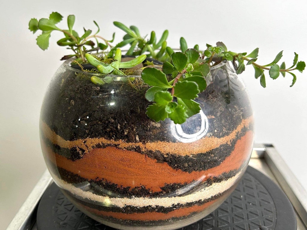 terrarium, kokedama, course, workshop, kids party, class