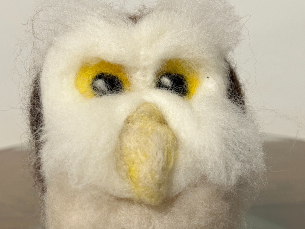 3D Needle Felting for Beginners