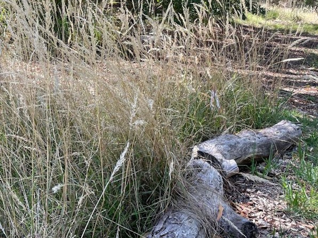 Garden and landscape design for biodiversity and people