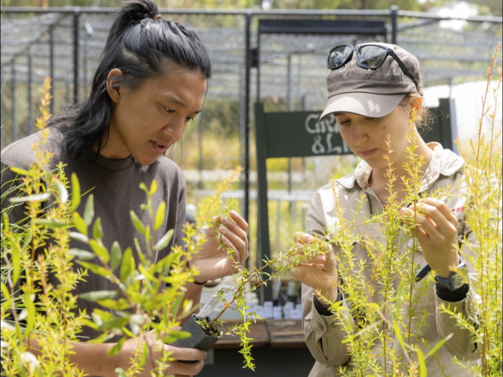 Beyond Plants: Gardening Essentials - SGA Online