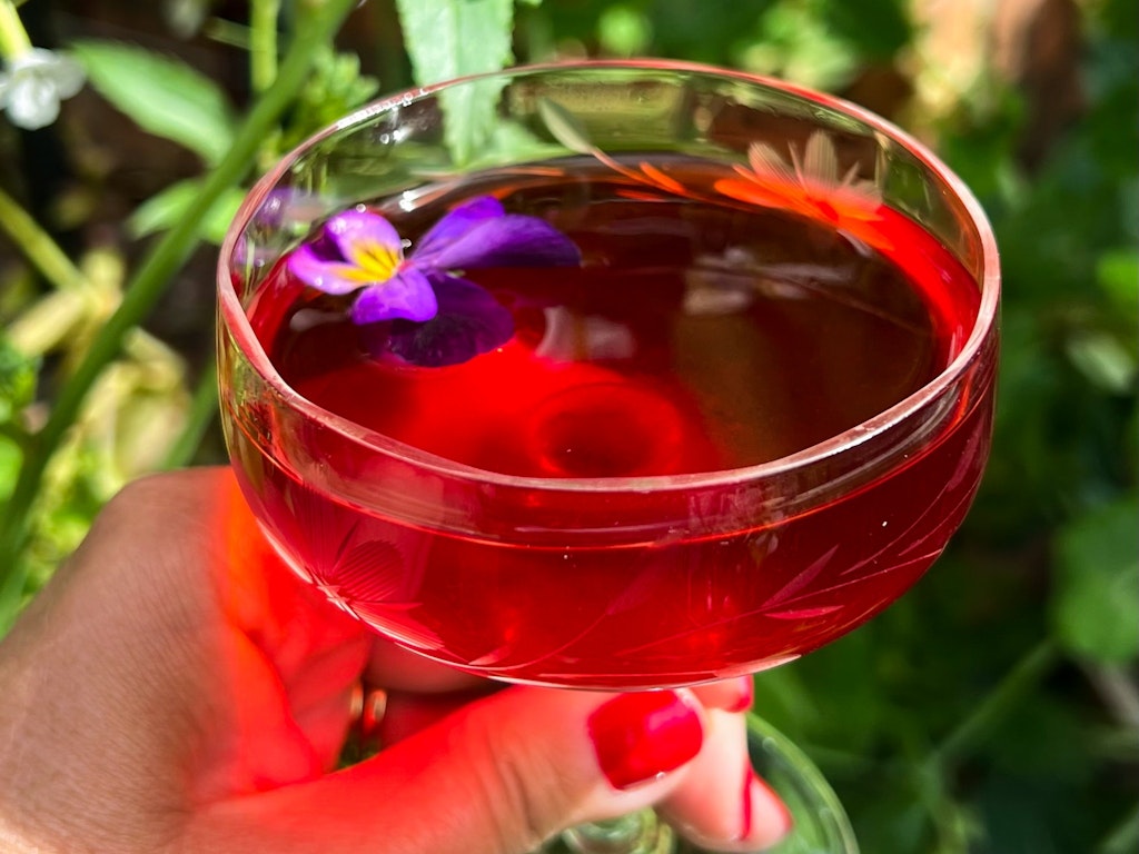 Plants for Vinegars Sodas & Cocktail - Sustainable Gardening