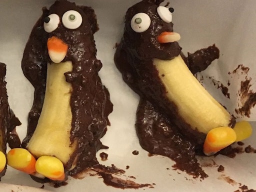 Chocolate banana penguins reality