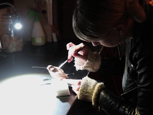 Natalie working on a tiny bird project